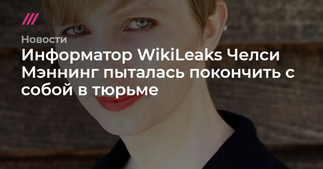  WikiLeaks        