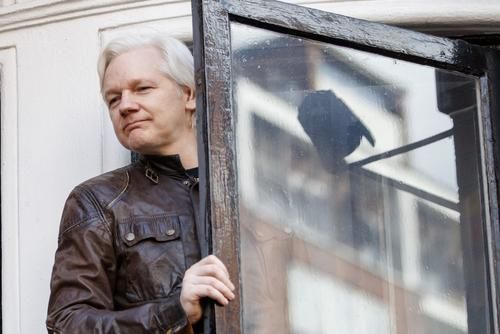      wikileaks   