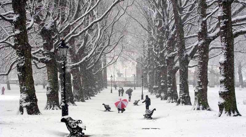 Происшествия: Зима в Британии набирает обороты: ожидается температура до -10C