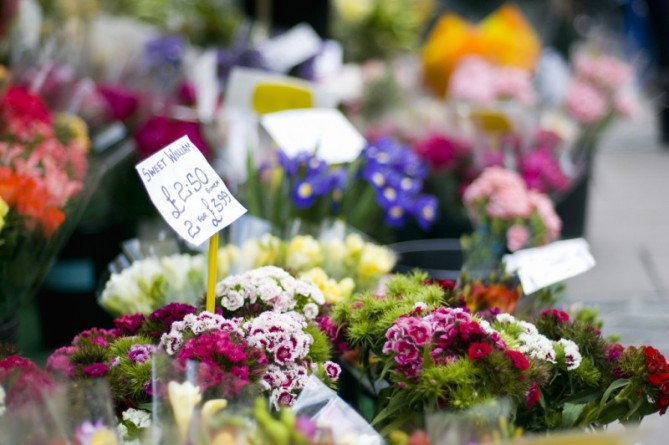 Досуг: Более половины лондонских женщин будут разочарованы, если на день Святого Валентина им подарят цветы