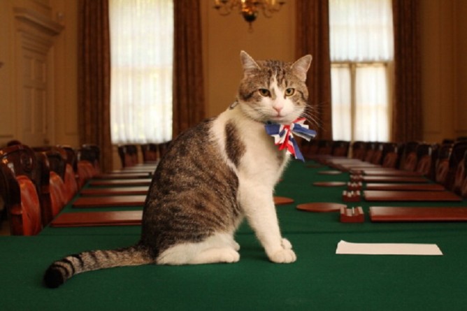 Общество: Министерство иностранных дел Великобритании взяло на службу...кота