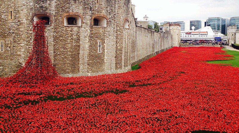 Цветочное шоу в Челси: нас ждет поле из 300 тысяч маков 10042016 Досуг: Цветочное шоу в Челси: нас ждет поле из 300 тысяч маков