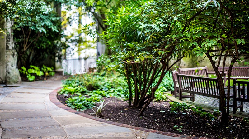 Секретные сады и зеленые островки Центрального Лондона 20042016 Досуг: Секретные сады и зеленые островки Центрального Лондона