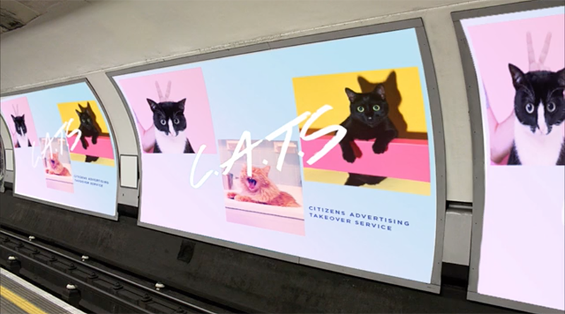Досуг: Вместо рекламы в метро - котики