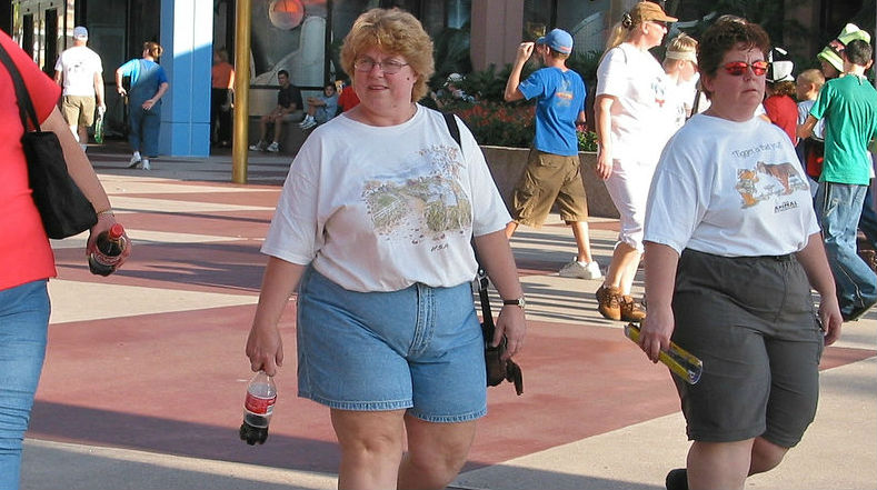 Здоровье и красота: Статистика ожирения: наибольшее количество людей с лишним весом проживает в Бренте