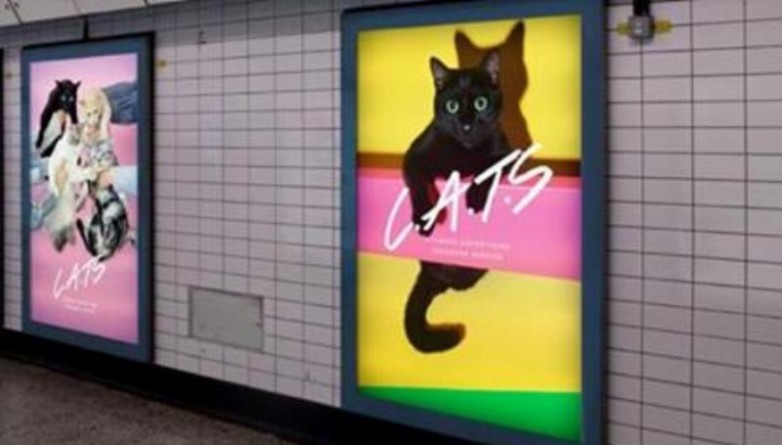 Досуг: Кампания, которая требует заменить рекламу в метро котами, набрала 12 000 фунтов