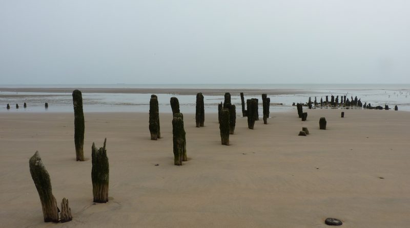 Происшествия: В Восточном Сассексе разбился и утонул самолет: количество жертв устанавливается