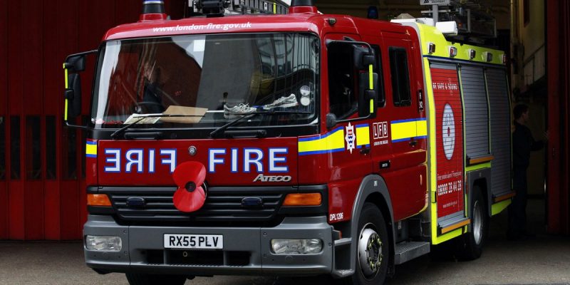 Общество: Пожарная служба Лондона тратит £200 000 в год на спасение животных