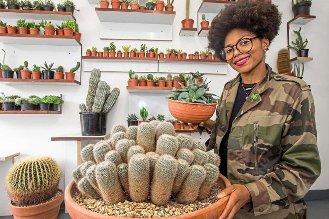 Досуг: В Лондоне открылся первый магазин кактусов