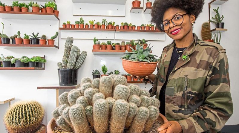 Досуг: В Лондоне открылся первый магазин кактусов