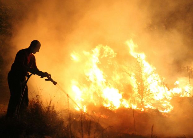 Происшествия: Пожар на Тоттенхэмских болотах на севере Лондона