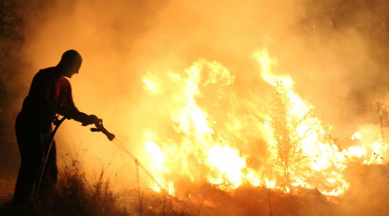 Пожар на Тоттенхэмских болотах на севере Лондона 01092016 Происшествия: Пожар на Тоттенхэмских болотах на севере Лондона