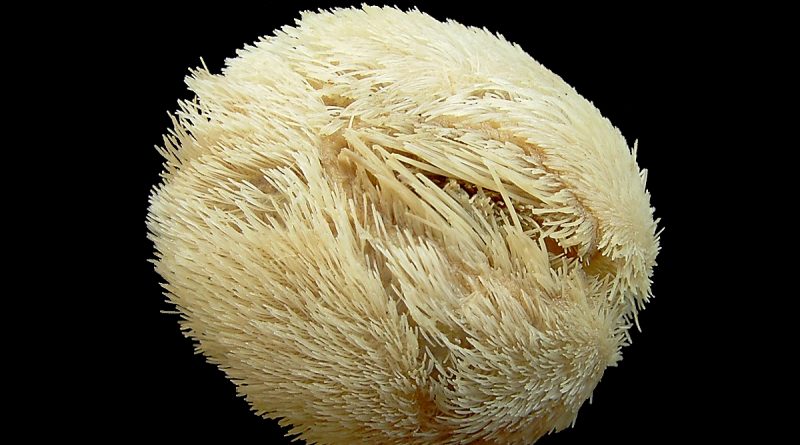 Сотни загадочных сфер выброшены на берег в Девоне и Корнуолле 20082016 Общество: Сотни загадочных сфер выброшены на берег в Девоне и Корнуолле