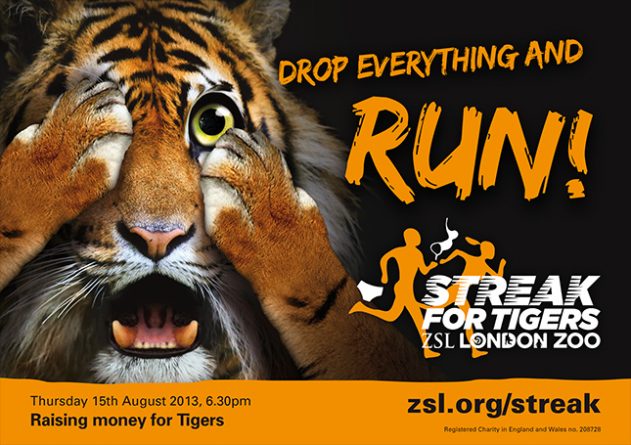 Досуг: «Полосатый рейс» в защиту тигров в лондонском зоопарке