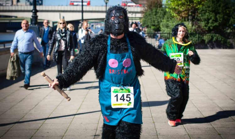 Досуг: На выходных по Лондону пробегут сотни горилл