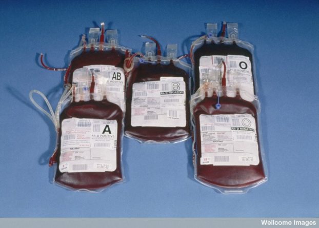 Закон и право: Медбрат перепутал группу крови при переливании и попытался это скрыть