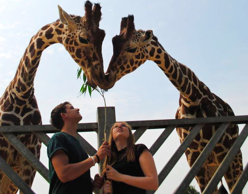 colchester-zoo
