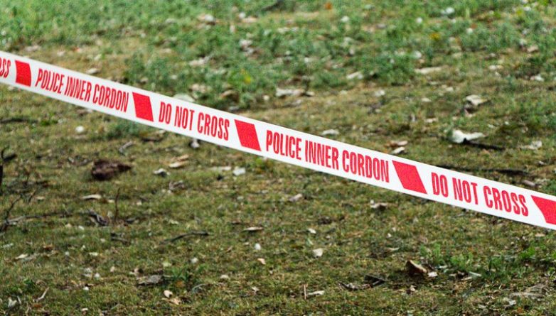 Происшествия: В Лондоне арестовали двух человек по подозрению в убийстве трехмесячной девочки