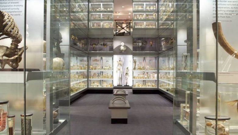 Досуг: Самый необычный музей в Лондоне закроется на 3 года