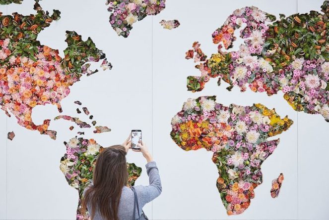 Искусство: Не упустите возможность посмотреть на карту мира, созданную из 2,000 цветов