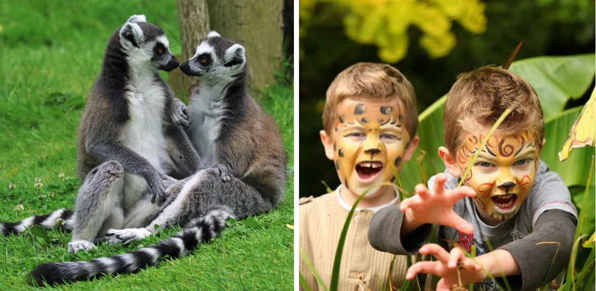 Newquay Zoo