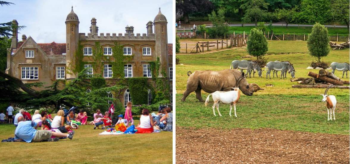 marwell