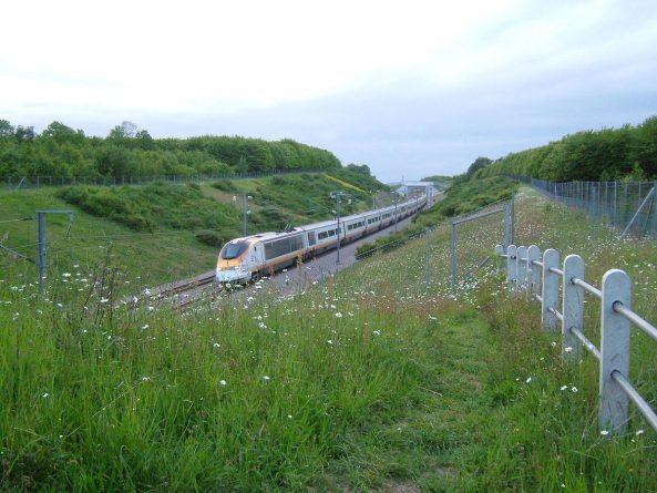 Общество: Новые поезда HS2 начнут курсировать по Британии к следующему десятилетию