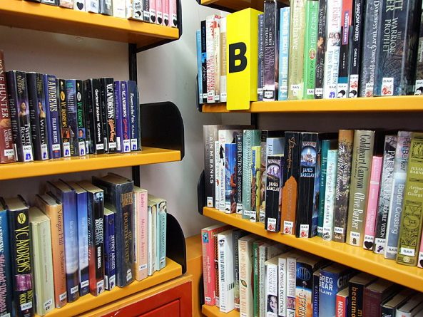 Общество: Власти Уолсолла хотят сэкономить городской бюджет, закрыв 15 библиотек из 16