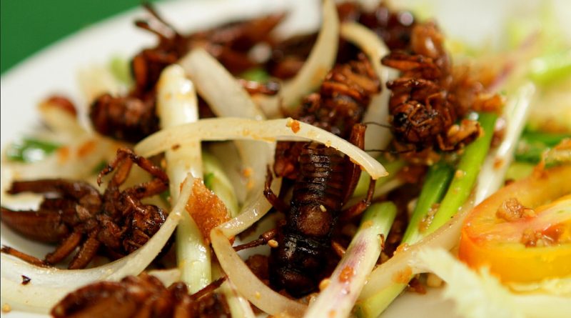 Общество: В Лондоне откроется первое кафе с меню из насекомых