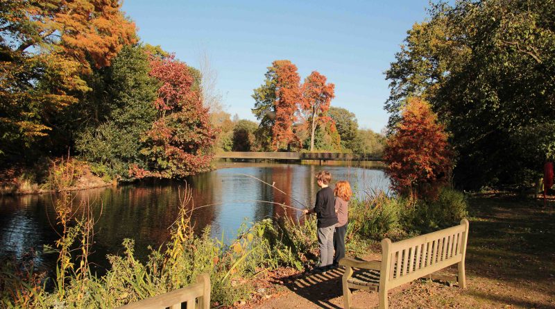 Погода: Теплый октябрь в Лондоне: синоптики обещают приятное продолжение осени