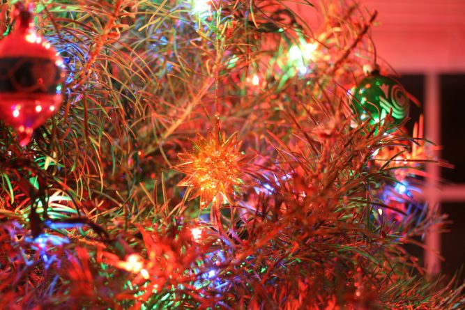 Досуг: Любой каприз за ваши деньги: Рождественская елка и всё-всё-всё