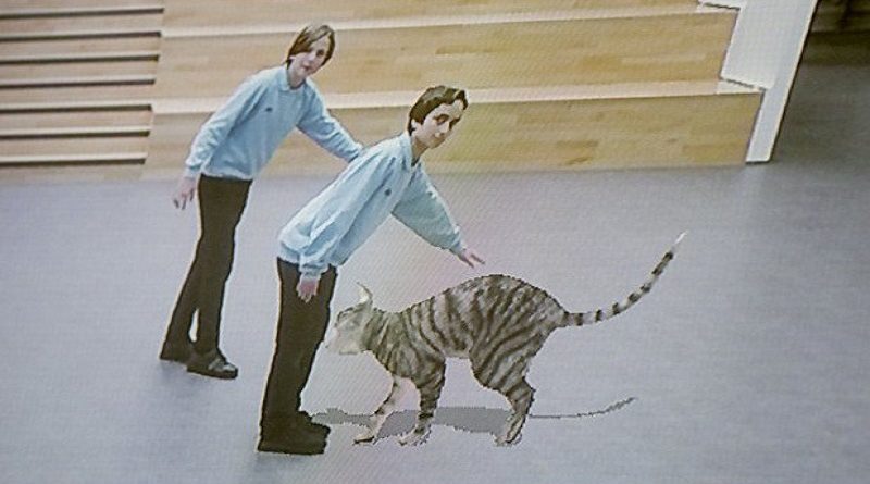 Технологии: В одной из школ Лондона появился интерактивный питомец - кошка