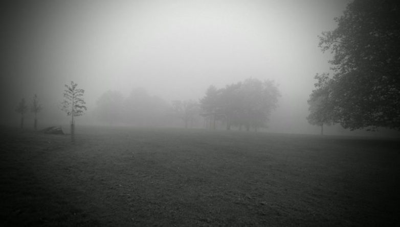 Погода: Лондон накрыл плотный туман