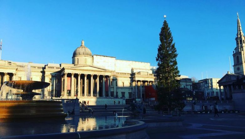 Досуг: На Trafalgar Square уставили новогоднюю ёлку