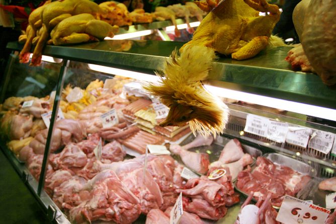 Здоровье и красота: Две трети куриц в супермаркетах Британии заражены кишечной палочкой