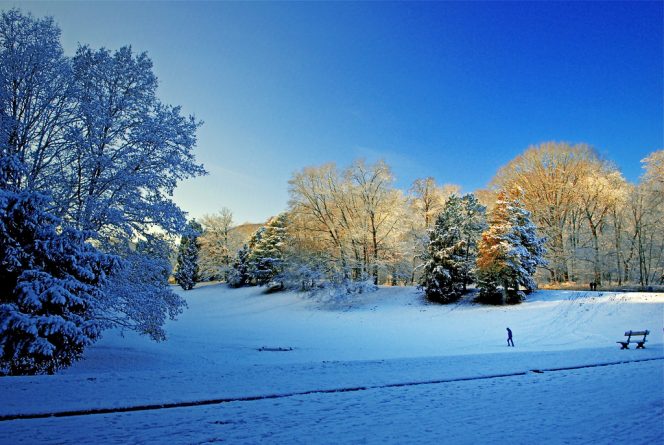 Погода: Заморозки в Британии начнутся еще до Рождества
