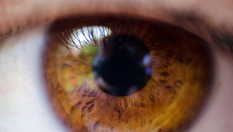 Технологии: Бионический глаз позволит слепым видеть