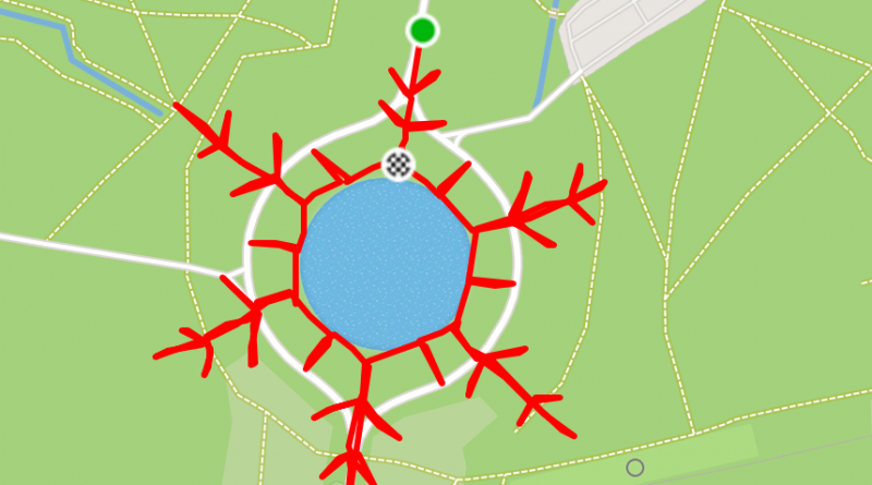 Досуг: Бегун из Лондона создает новогодние рисунки при помощи GPS
