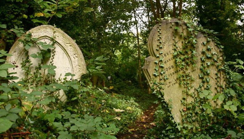 Колонки: 7 секретов Abney Park Cemetery
