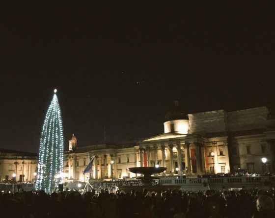Общество: Лондонцы недовольны рождественской елкой на Trafalgar Square