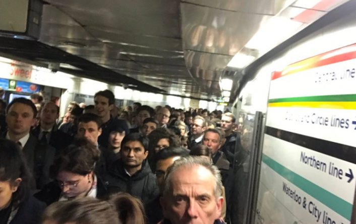 Происшествия: Полиция штурмовала Лондонское метро из-за человека с ножом