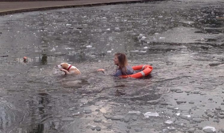 Происшествия: Девушка бросилась в замерзшее озеро, чтобы спасти свою собаку