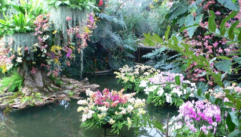 Досуг: Фестиваль орхидей в Kew Gardens
