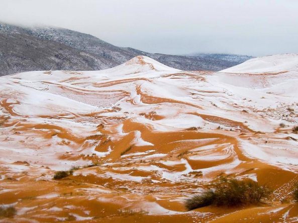 Погода: В пустыне Сахара выпало наибольшее количество снега в этом столетии