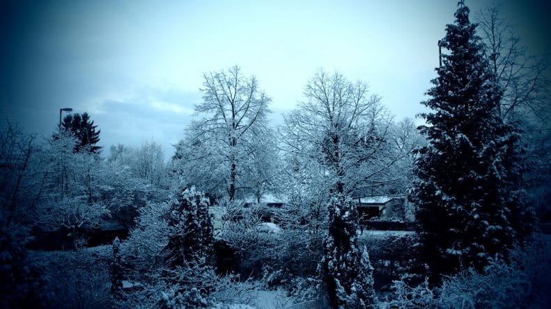 Погода: Погода в Британии: снег и мороз
