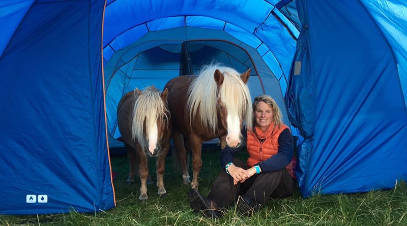 Путешествия: Британка отправилась в путешествие со своими лошадьми… на моторной лодке