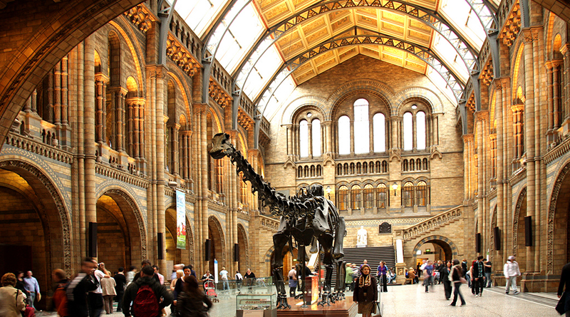 Досуг: Лондонские музеи стали квестовыми локациями