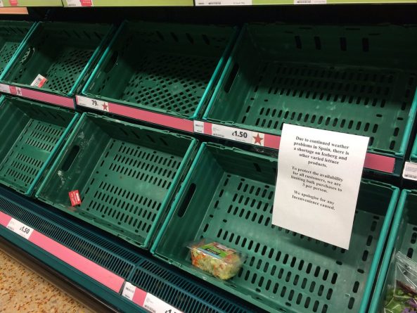 Происшествия: С полок супермаркетов Великобритании пропало множество овощей