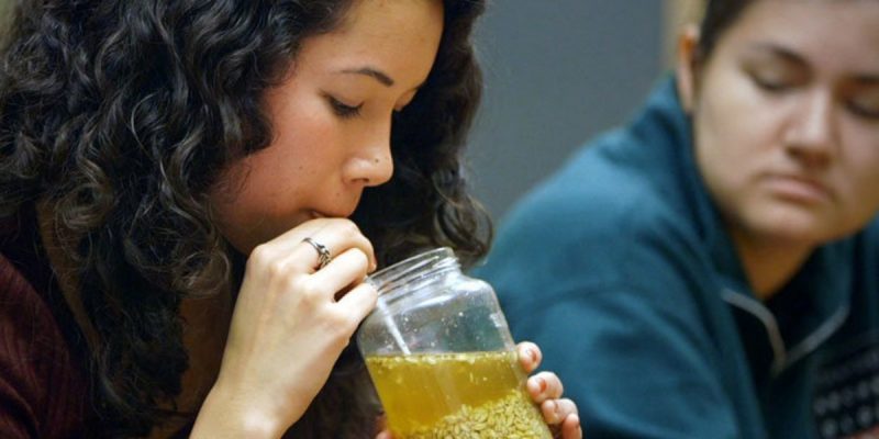 В мире: Студенты Стэнфорда воссоздали 5000-летнее пиво