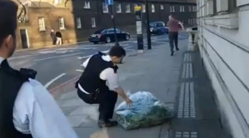 Происшествия: Скваттер попытался украсть из-под носа у полицейских наркотики, изъятые во время рейда